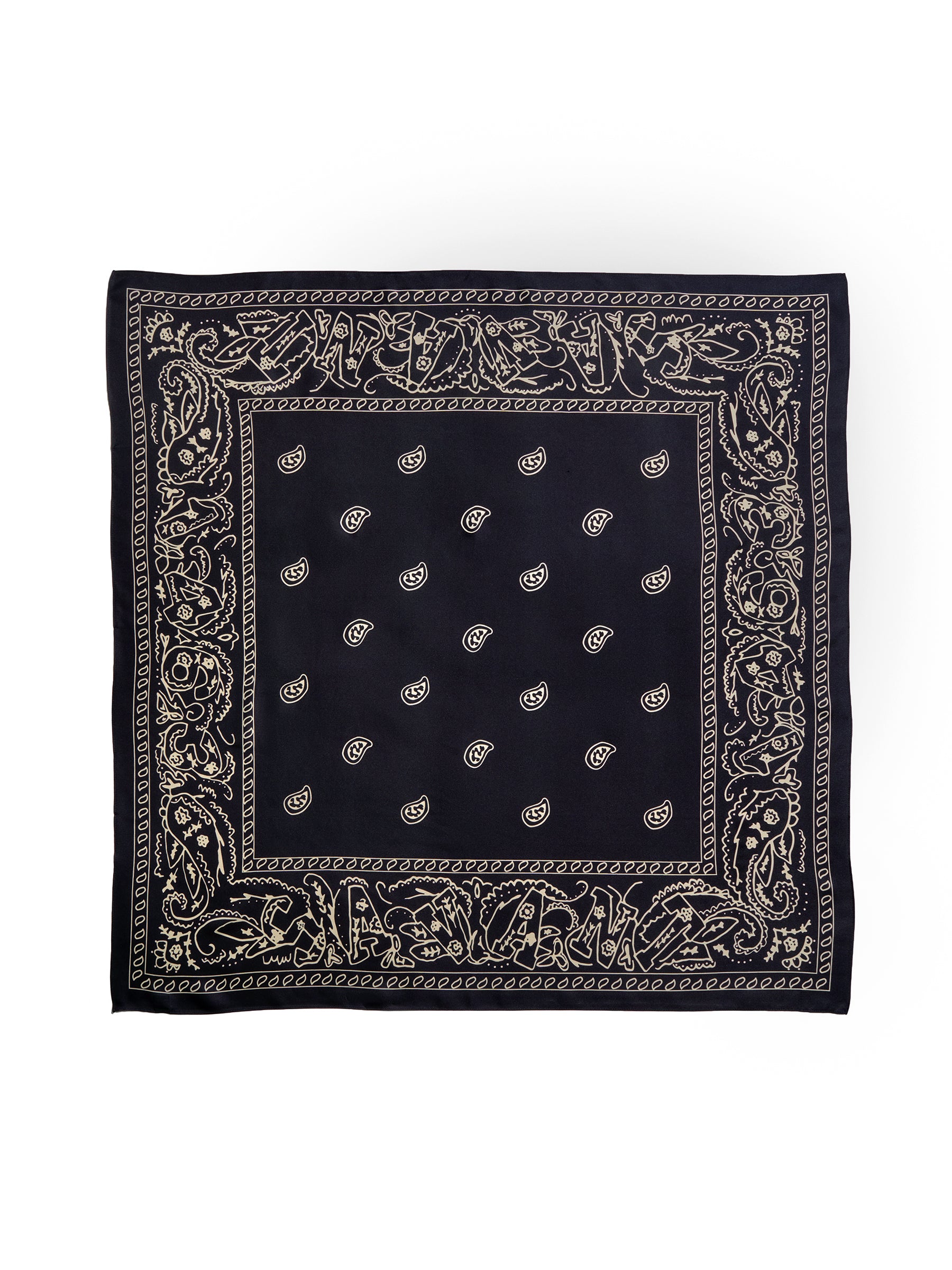 Savant Studios Paisley Bandana – Brooklyn Museum