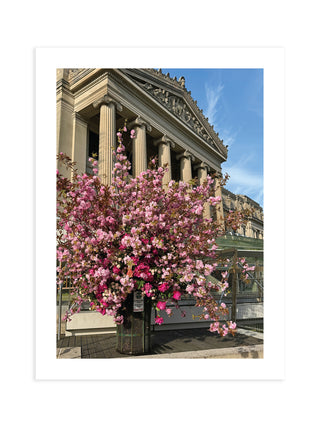 Brooklyn Museum x Lewis Miller Flower Flash Limited Edition Print