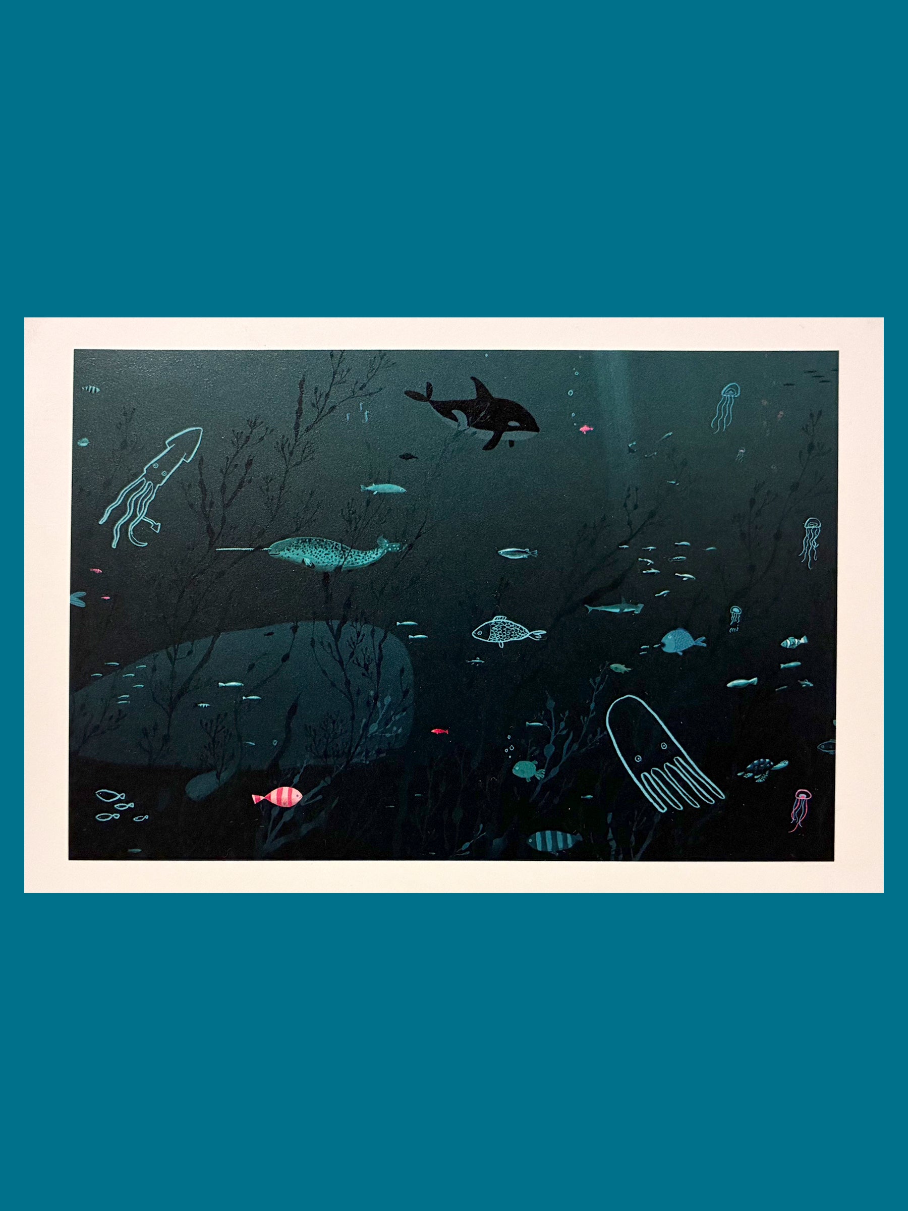 Oliver Jeffers 'Life at Sea' Postcard – Brooklyn Museum