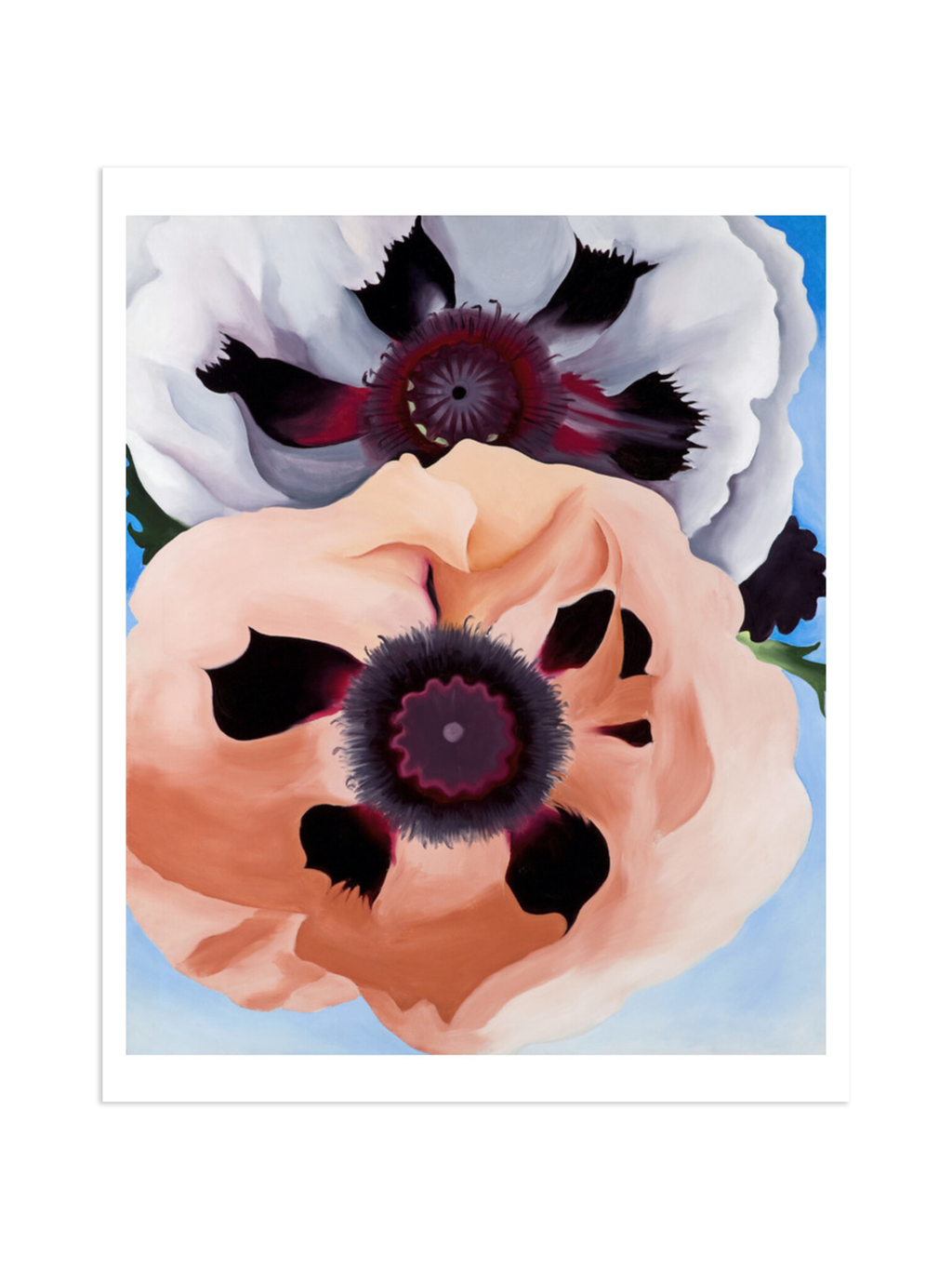 Poppies Print by Georgia O'Keeffe – Brooklyn Museum, image size:1024x1365