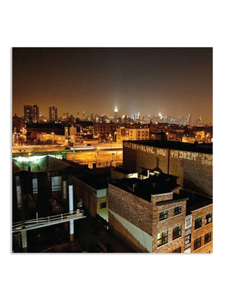 Brooklyn Photographs Now by Marla Hamburg Kennedy