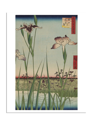 Horikiri Iris Garden (Horikiri no Hanashobu), No. 64 Print by Utagawa Hiroshige