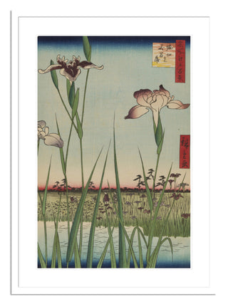 Horikiri Iris Garden (Horikiri no Hanashobu), No. 64 Print by Utagawa Hiroshige