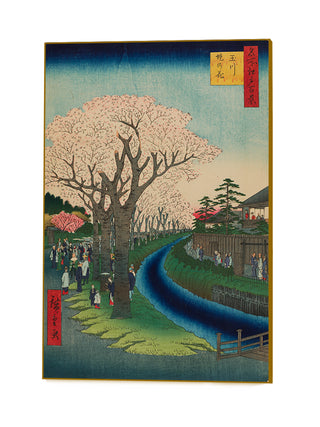 Blossoms on the Tama River Embankment, No. 42 Art Block by Utagawa Hiroshige
