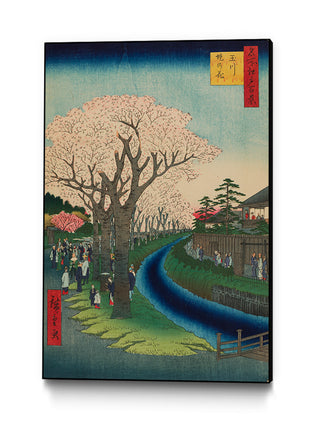 Blossoms on the Tama River Embankment, No. 42 Art Block by Utagawa Hiroshige