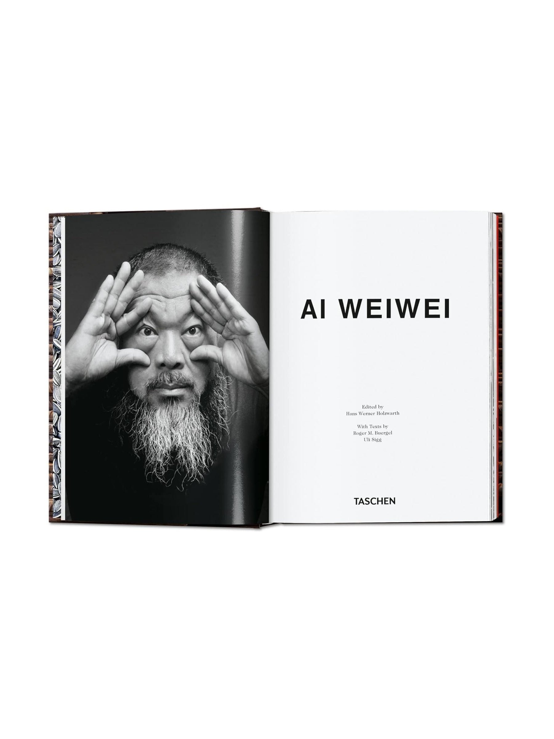 Ai Weiwei, 40th Edition by Hans Werner Holzwarth – Brooklyn Museum
