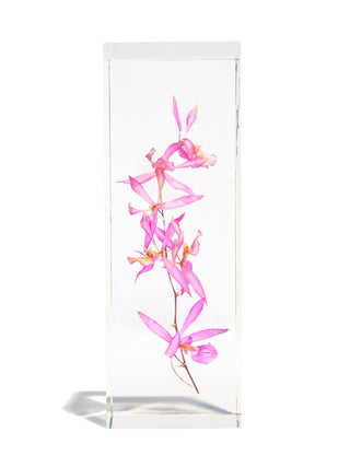 Orchid Block Flower