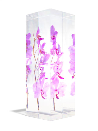 Orchid Block Flower