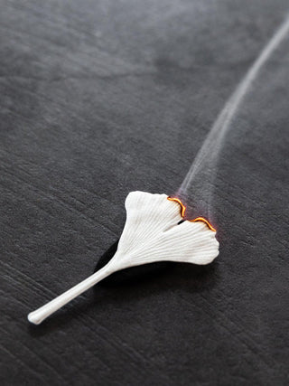 Ha Ko Paper Incense, Autumn Fennel