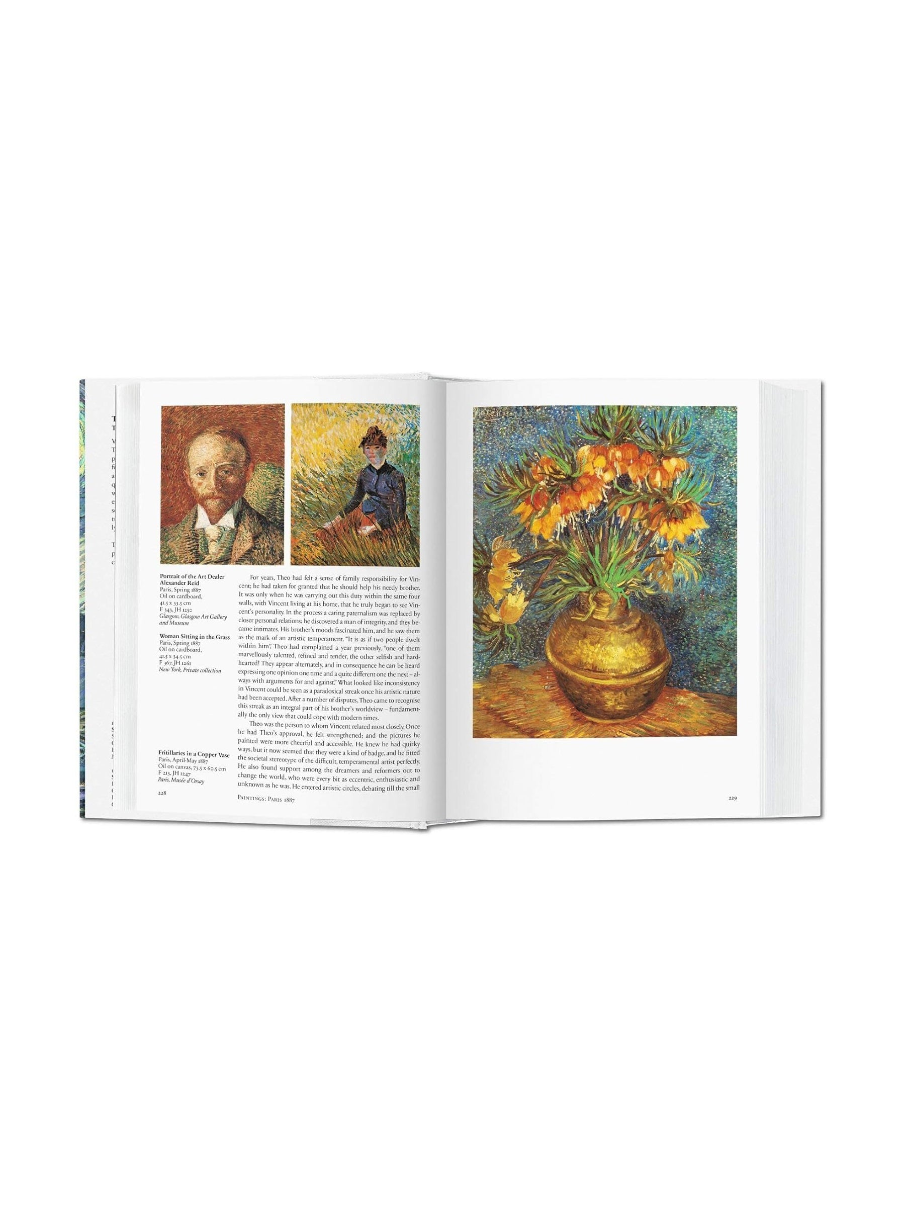 Vincent van gogh the hotsell complete paintings