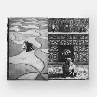 DogDogs by Elliot Erwitt