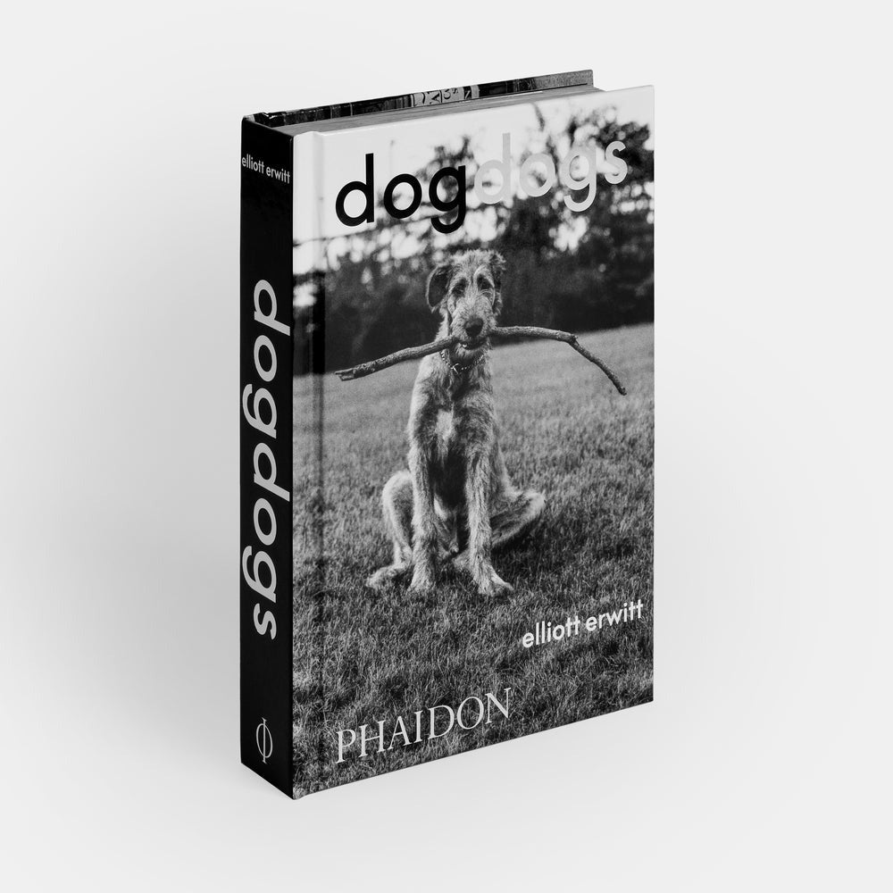 DogDogs by Elliot Erwitt – Brooklyn Museum