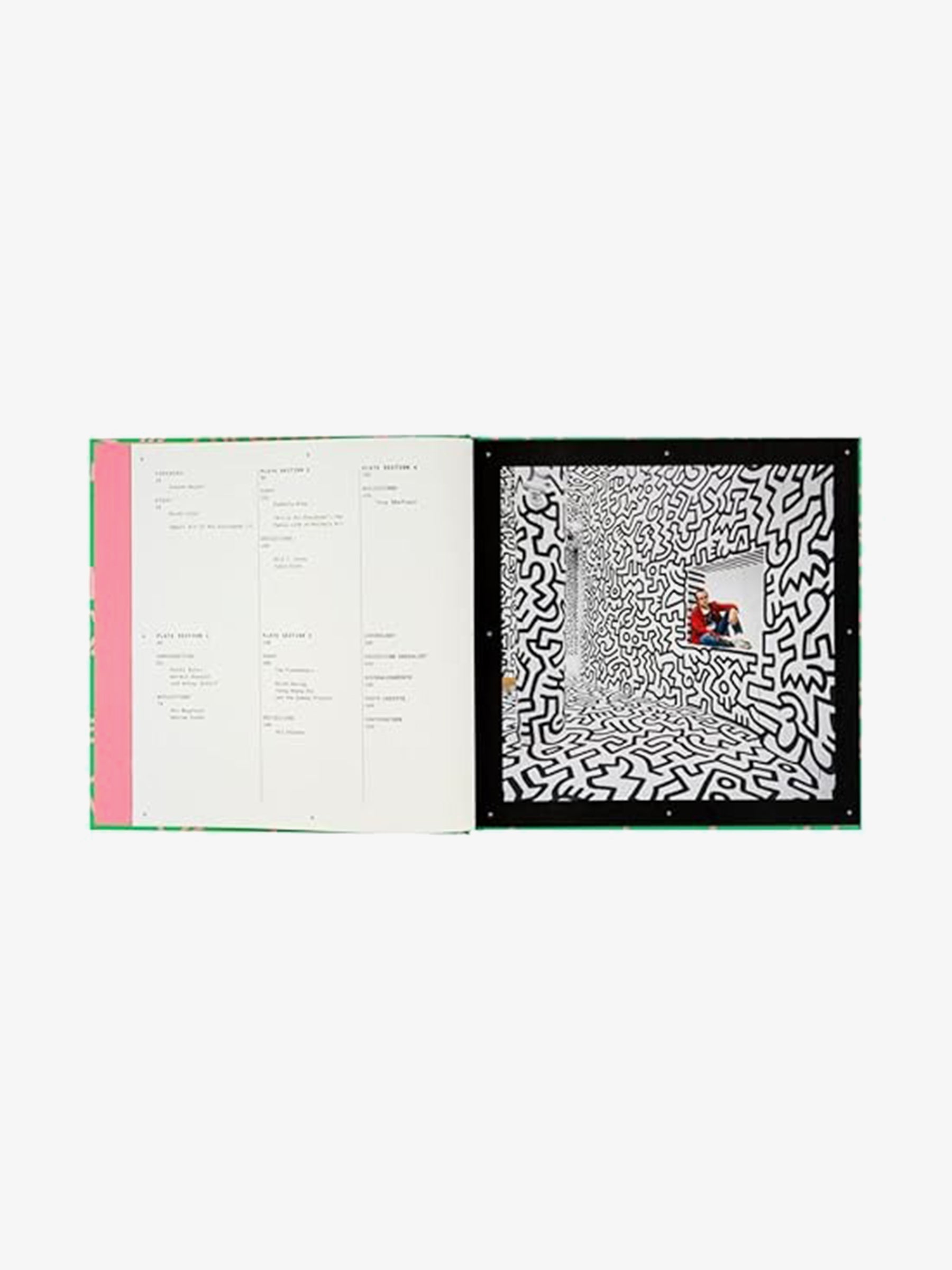Keith Haring: Art is for Everybody – Brooklyn Museum