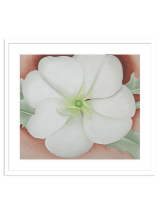 White Flower on Red Earth, No.1 by Georgia O'Keeffe