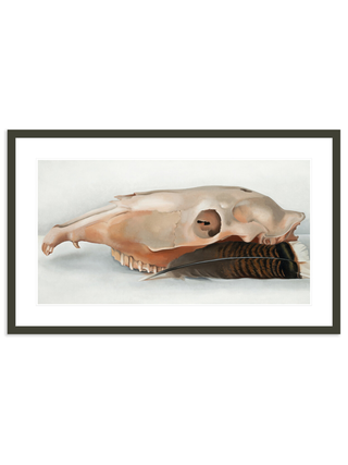 Horizontal Horse's or Mule's Skull with Feather by Georgia O'Keeffe