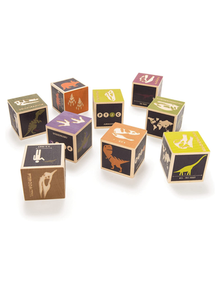 Dinosaur Blocks