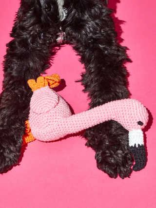 Hand Crochet Flamingo Dog Toy